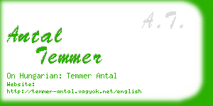 antal temmer business card